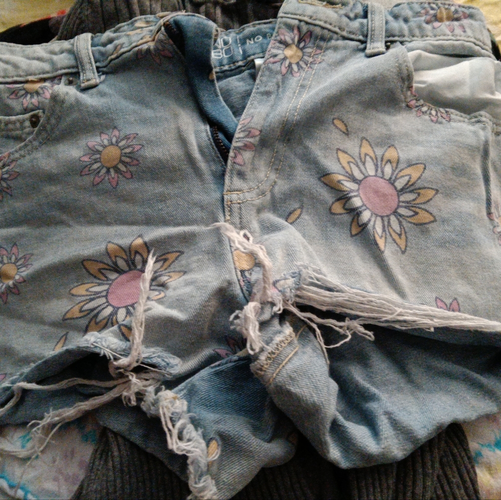 No Boundaries short shorts, flowered